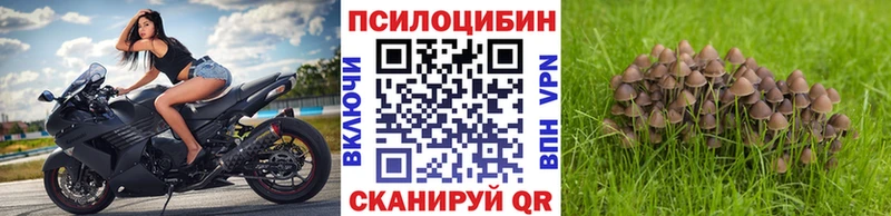 Псилоцибиновые грибы Magic Shrooms  Купить где  Бугуруслан 